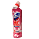 Domestos WC Reiniger Gel, Floral Fresh 750 ml