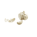 Knoblauch Bio 150 Netz
