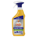 Mr. Proper Professional Kraftvoller Fettlöser - 750 ml Sprühflasche