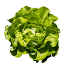 Kopsalat 1 Stück