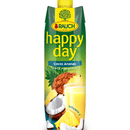 Happy Day Cocos Ananas 99,5 % Fruchtgehalt Tetra Pack - 1 l (Dauerhaft günstig)