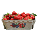 Erdbeeren 250g
