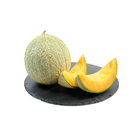 Cantaloupe Melone süß und saftig 1 Stück