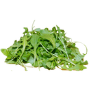 Rucola 125g