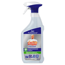 Mr. Proper Professional Desinfektions Fettlöser - 750 ml Sprühflasche