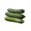 Zuchini Bio