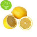 Zitronen Bio 500g Netz