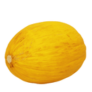 Honigmelone gelb süß und fruchtig 1 Stück
