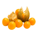 Physalis 100g
