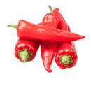 Spitzpaprika rot
