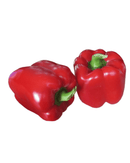 Paprika rot Bio