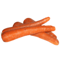 Möhren Bio 1kg