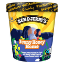 Ben und Jerry's Sunny Honey Home Eis