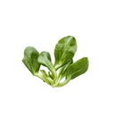 Feldsalat 150g