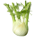 Fenchel 1 Stück