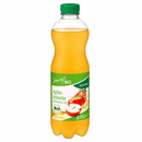 Jeden Tag BIO Apfelschorle trüb 0,75l