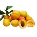 Aprikosen Bio 500g